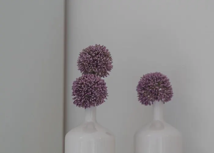 公寓 Danka 沃迪切